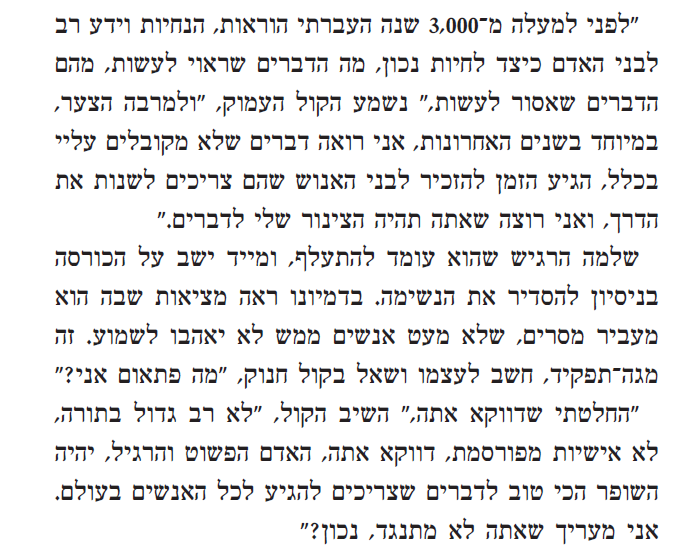 קטע שני מהספר